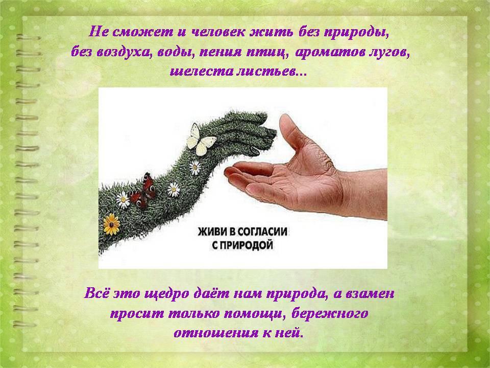 Экологический проект "Я и природа"