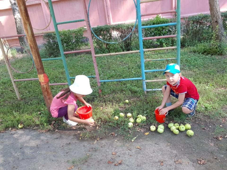 Труд на прогулке