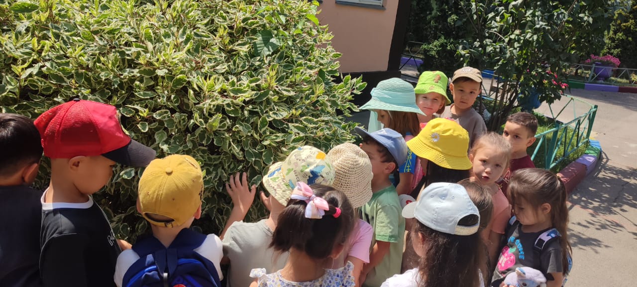 Мектепалды  даярлық «Балапан» тобы.  БАЛАБАҚШАДАҒЫ СЕРУЕН ЖӘНЕ БАҚЫЛАУ